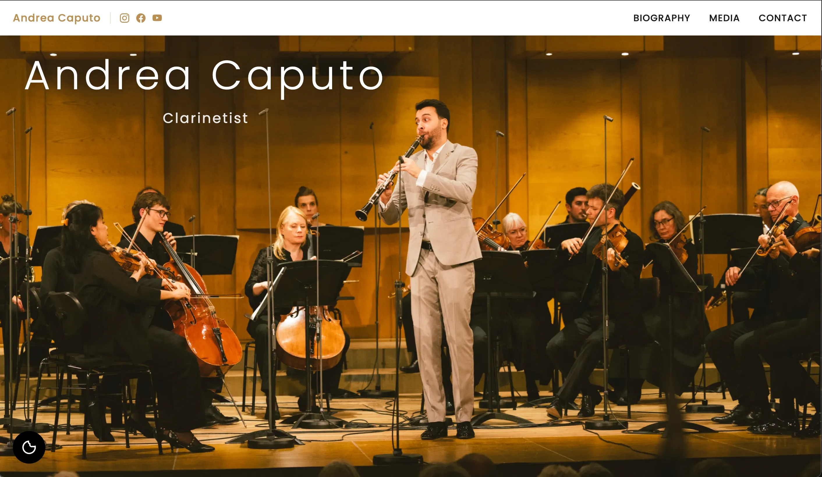 Artist Website Preview